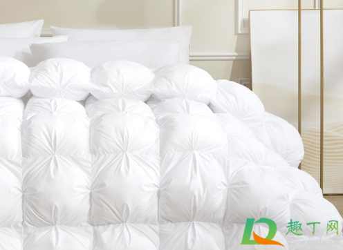 鹅绒被有味道是正常吗(鹅绒被有没有味道)