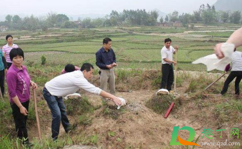 2020年大寒能垒坟吗(2020年大寒前上坟还是大寒后)