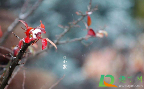 2020小寒是什么时候交节令(小寒是几月几日2020具体时间)