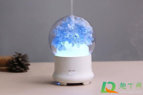 加湿器长绿苔能用吗(加湿器除绿苔)