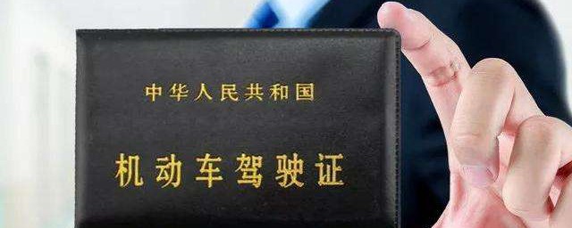 这些都是可以从事的职业(为什么要从事职业)