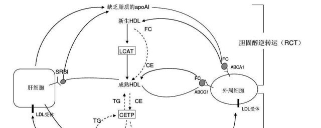 下面有详细介绍(详细的介绍下)