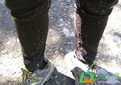 泥巴污渍定型了怎么洗(泥巴污渍怎么去除) 泥巴污渍定型了怎么洗(泥巴污渍怎么去除)