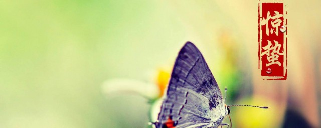 惊蛰的习俗(惊蛰的相关风俗)