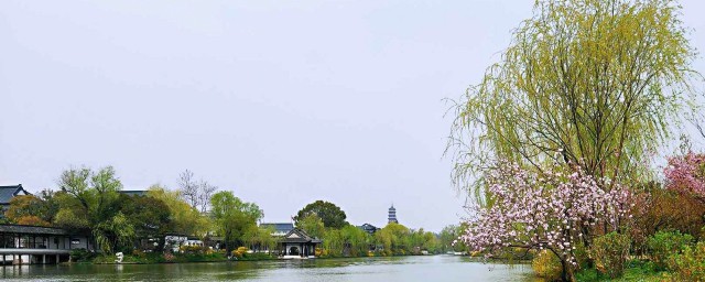 春天代表着什么(春天代表着什么颜色)