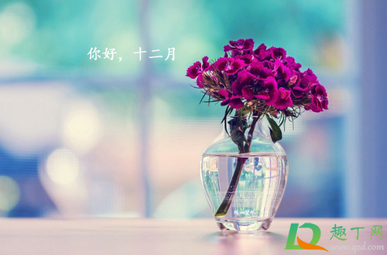 2020年12月份冷不冷(2020年十一月份冷不冷)