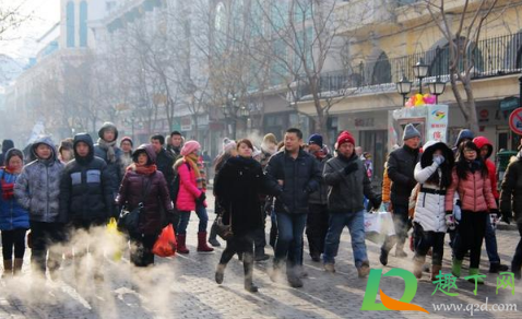 哈尔滨冬天有多冷(哈尔滨冬天有多冷图片)