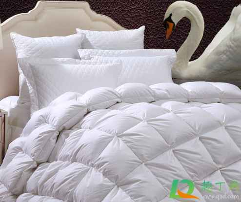 95白鹅绒被子里有少量灰绒毛对吗(95白鹅绒被子好吗)