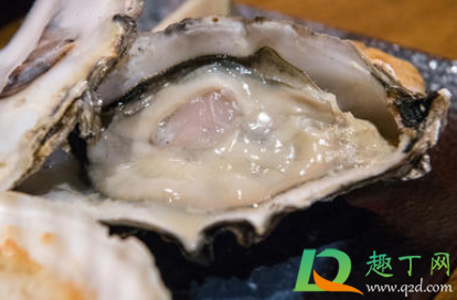 带壳生蚝煮多长时间最合适(带壳水煮生蚝需要多少分钟)