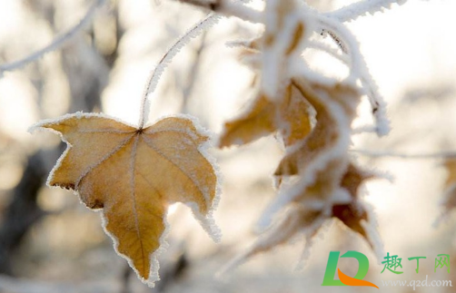 下雪发朋友圈唯美短句2020最新(新年下雪发朋友圈唯美短句)