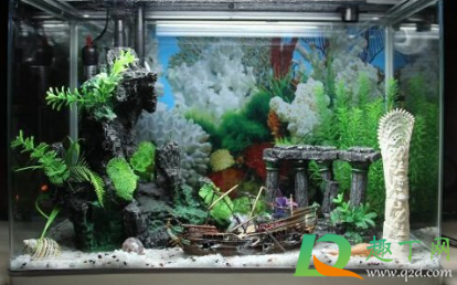 鱼缸加热棒能放在底部吗(鱼缸加热棒可以放在缸底吗)