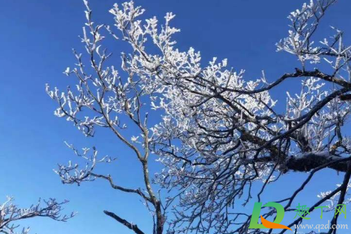 梦见下雪是什么意思(梦见下雪是什么意思周公解梦网)