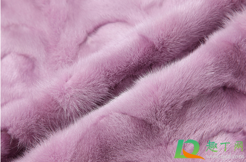 貂皮大衣能在雪地里穿吗(貂皮大衣可以在雪地里洗吗)