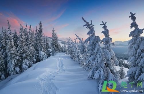 2020(2020年日历) 2020(2020年日历)