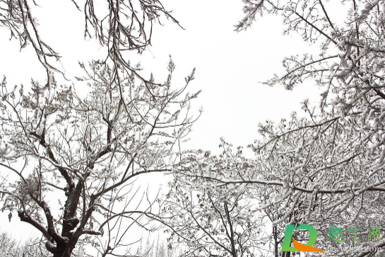 2020年12月会下雪吗(2020年12月有没有雪) 2020年12月会下雪吗(2020年12月有没有雪)