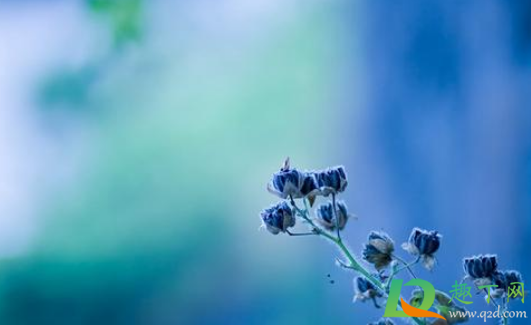 2021年多一个月吗(2021年少了一个月吗)