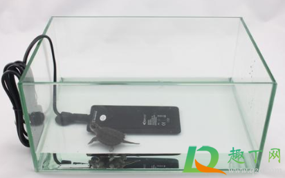 鱼缸加热棒能放在底部吗(鱼缸加热棒可以放在缸底吗)