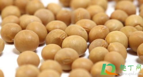 为什么大豆价格疯涨(大豆价格会不会大幅上涨)