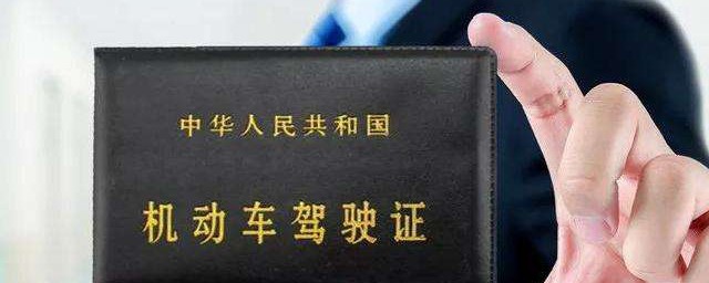 有这种车型吗(车型有什么车型)