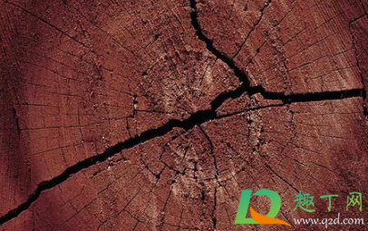 木家具开裂用什么修复