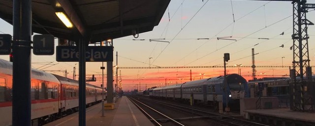 真实答案在这里(这里面有答案)