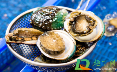 鲍鱼内脏为什么是绿色的(鲍鱼里面是绿色的怎么回事) 鲍鱼内脏为什么是绿色的(鲍鱼里面是绿色的怎么回事)