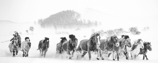 十一月四日风雨大作赏析(十一月四日风雨大作赏析简短)