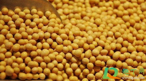 为什么大豆价格疯涨(大豆价格会不会大幅上涨)