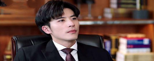 凌氏集团的电视剧介绍(霸道总裁的电视剧)