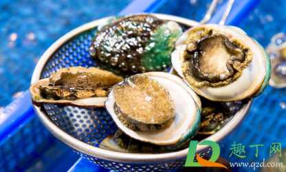 鲍鱼一整个都能吃吗(鲍鱼整只都能吃吗) 鲍鱼一整个都能吃吗(鲍鱼整只都能吃吗)