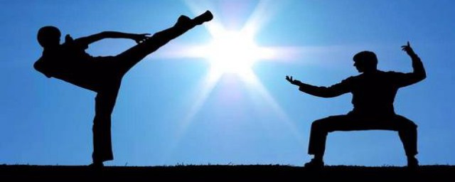 武术的介绍(武术的介绍100字)