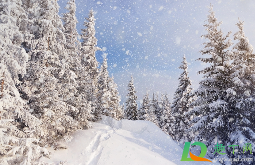 科目三路考下雪会停考吗(下雪科目三还考吗) 科目三路考下雪会停考吗(下雪科目三还考吗)