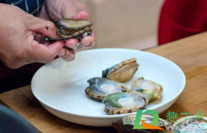 鲍鱼内脏为什么是绿色的(鲍鱼里面是绿色的怎么回事) 鲍鱼内脏为什么是绿色的(鲍鱼里面是绿色的怎么回事)