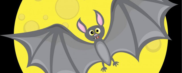 跟蝙蝠很像的动物而且是白天出来飞(蝙蝠为什么白天飞出来)