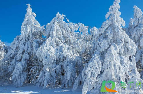2020大雪节气能办婚礼吗(立春节气能不能结婚)