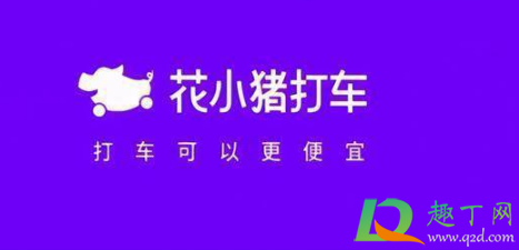花小猪注册必须是滴滴车主吗(为什么注册花小猪必须是滴滴车主)