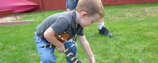 怎么应对2岁孩子的叛逆期(如何应对两岁叛逆期)