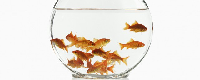 那个方位钓鱼比较好呢(钓鱼一般在什么方向钓鱼好)