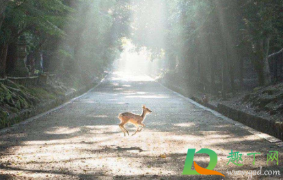 失望心凉的说说一句话精选(失望了 心凉了说说)