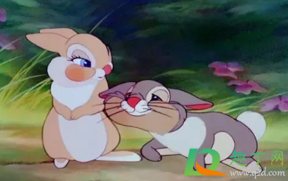 开心的句子说说心情幽默带图(很开心幽默的句子说说心情)