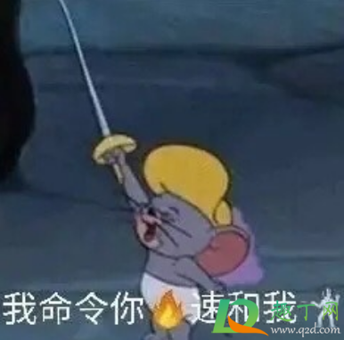 击剑什么梗(速来击剑什么梗)