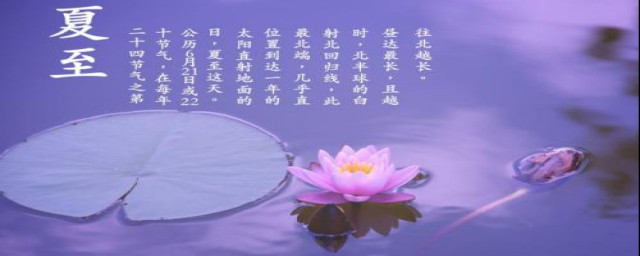 夏天的诗句有什么(夏天的诗句有什么快点给我出来)