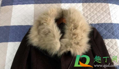 兔毛领可以水洗吗(兔毛毛领怎么洗) 兔毛领可以水洗吗(兔毛毛领怎么洗)