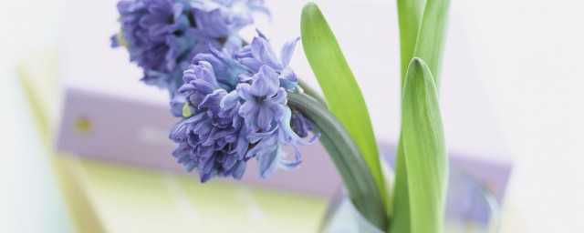 这些句子经典至极送给自己(送给自己的名句)