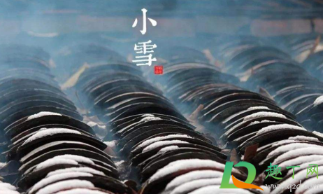 2020节气小雪冷不冷(2020年小雪气温)