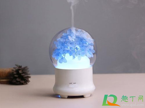 加湿器先加水还是先插电 加湿器先加水还是先插电