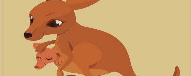 照顾婴儿的一类方法(你知道如何照顾婴儿)