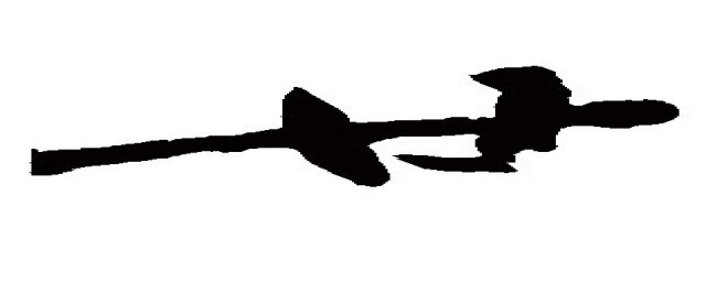 廿的解释(廿的意思解释)