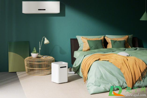 加湿器里面可以放柠檬片吗(加湿器能不能放柠檬片)