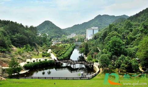 武汉2021元旦会不会下雪(武汉下雪了吗2021)